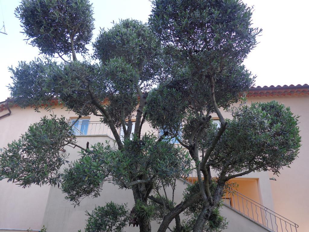 Appartement Villa Angelina 그리모 외부 사진